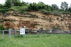 Natural Monument Weinheimer Trift