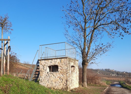 Weinbergsh&auml;uschen am Frikadellenb&auml;umchen &copy; TSC Rhein-Selz