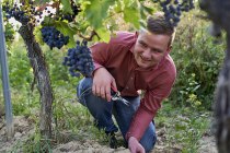2023_Camera-Creativ_Weingut Goldschmidt_LEICA M10-P_CAMC7189_23-09-28