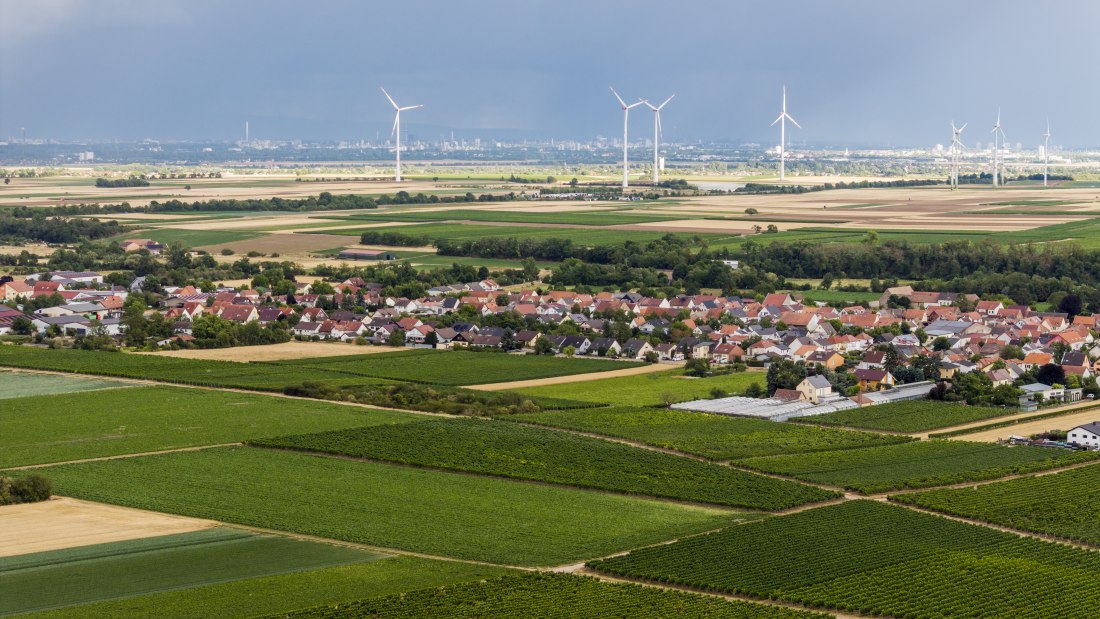 Heppenheimer Affenberg, &copy; Torsten Silz