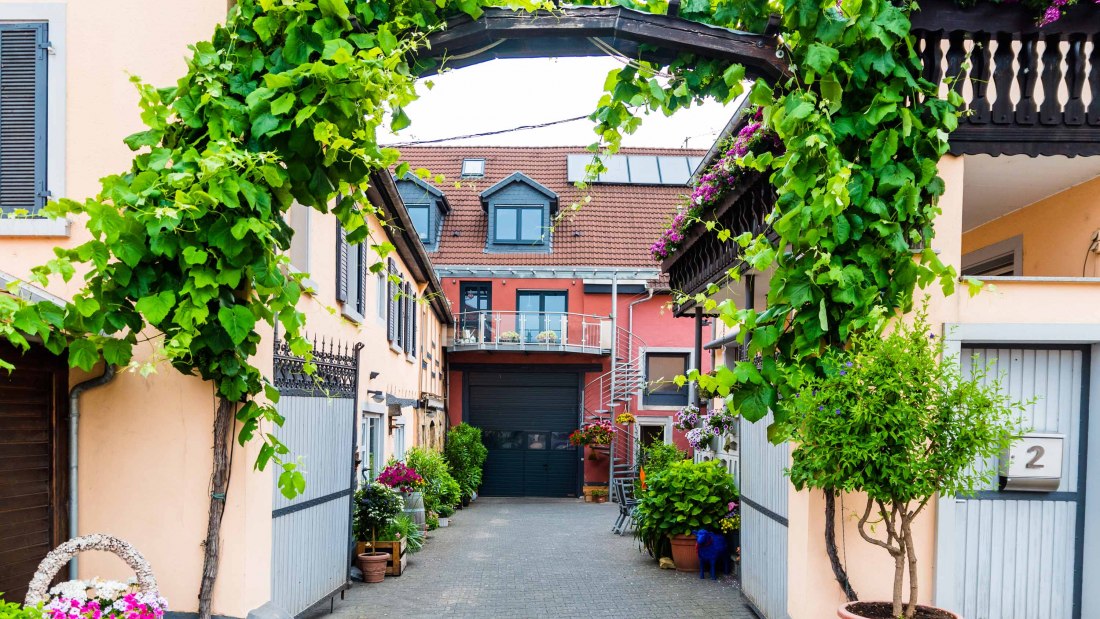 wgt-hammen-9, © Weingut Hammen