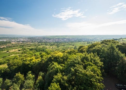 Tolle Blicke über Rheinhessen eröffnen sich auf der Aussichtsplattform