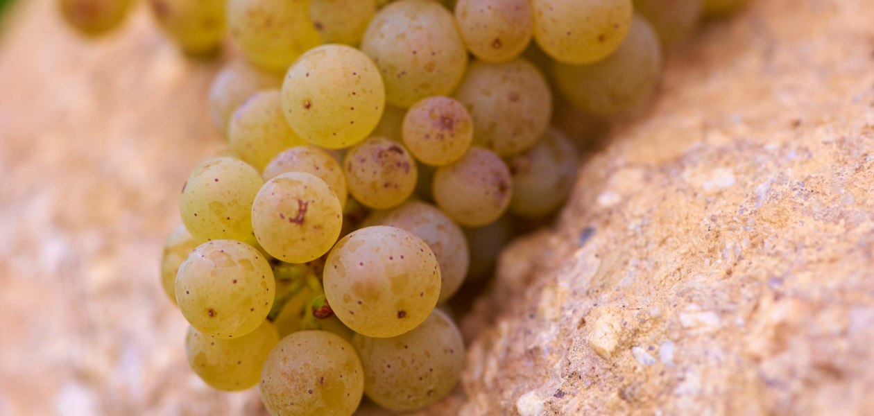 © Weingut Achenbach