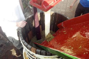 Weingut Tobias Hahn_Presse, &copy; Weingut Tobias Hahn