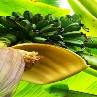 GB-Ferienhaus-13-768x1024