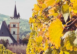 Genuss-KulTour Ober-Ingelheim