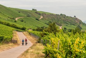 Roter Hang  &copy; Rheinhessen-Touristik GmbH
