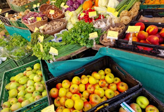 Frisches Obst, Gem&uuml;se und Kr&auml;uter vom Mainzer Wochenmarkt &ndash; regionale Produkte direkt vom Erzeuger