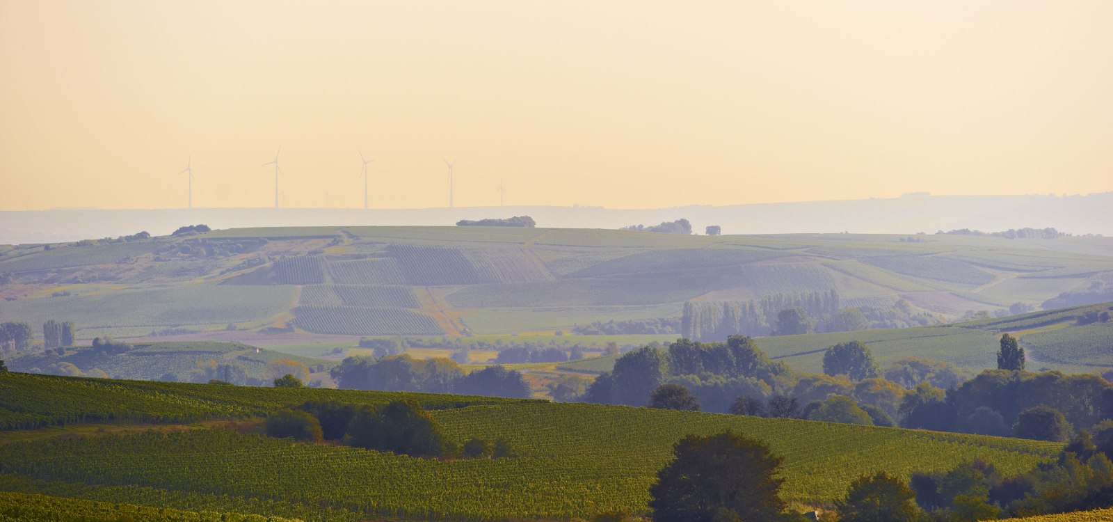 Rheinhessische Toskana Sonnenuntergang, &copy; Robert Dieth