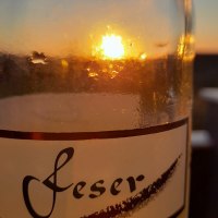 Weingut Feser Flasche