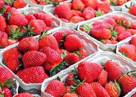 Erdbeeren