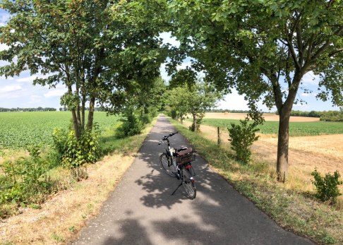 nierstein-bodenheim-ebike