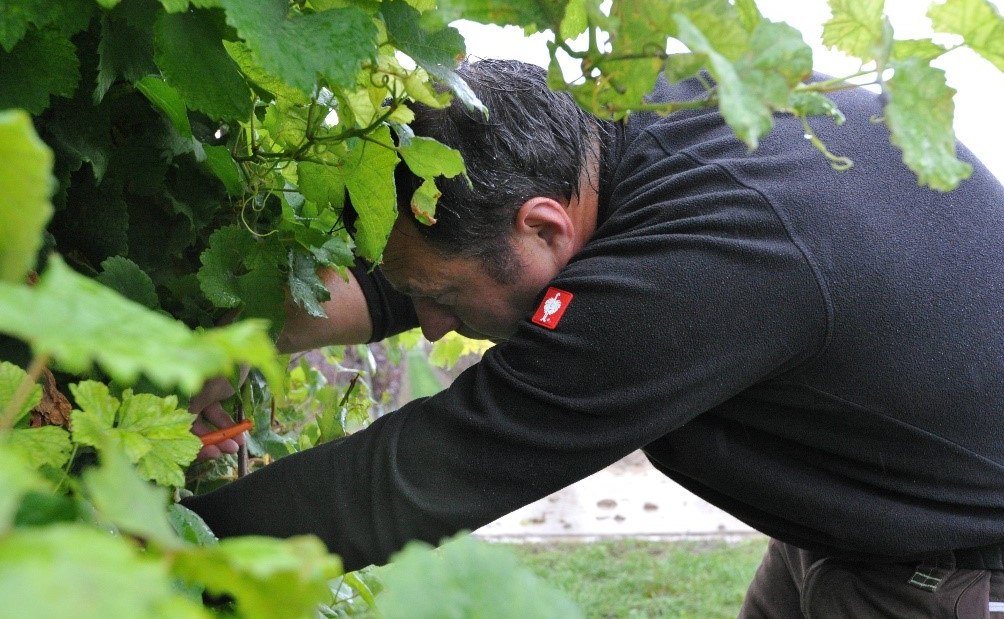 &copy; Weingut Bacchushof