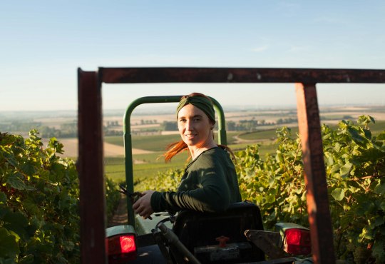 Weingut Schittler, &copy; Weingut Schittler
