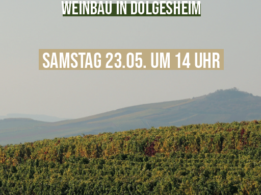 Regen Reben Resilienzen &copy; Heinrich B&ouml;ll Stiftung Rheinland-Pfalz e.V.