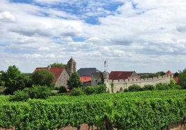 Ortspanorama, © VG Monsheim - Fotograf Carsten Costard