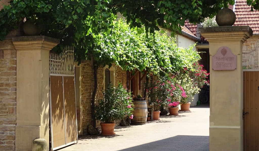Weingut Marx_Hofeinfahrt, &copy; Weingut Marx