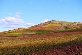 Herbst_1