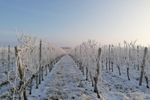 Winterwanderung auf der Hiwwltour