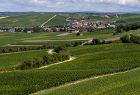 Bornheimer Hähnchen