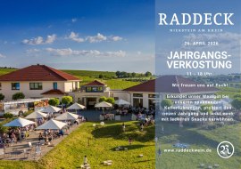 Jahrgangsverkostung Weingut Raddeck