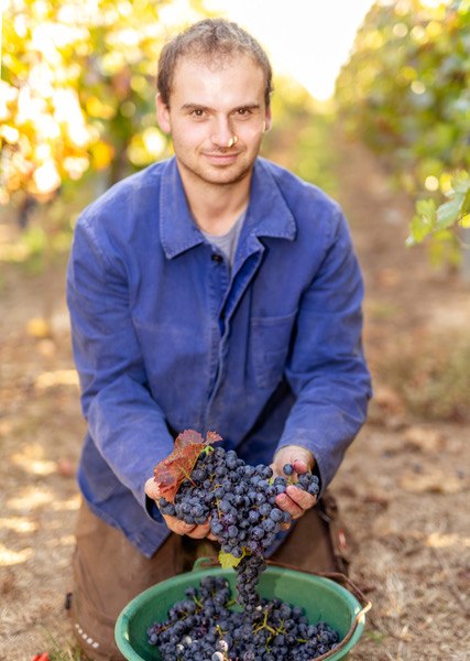 Eckert 3, © Weingut Eckert