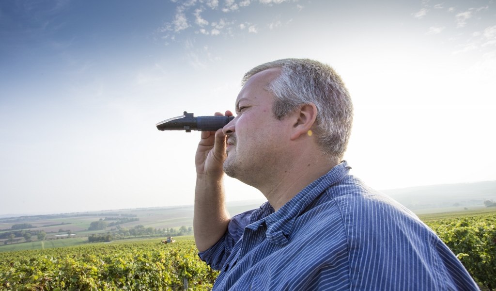05102014_weingut-best-2521-1024x683, &copy; Weingut Helmut Best