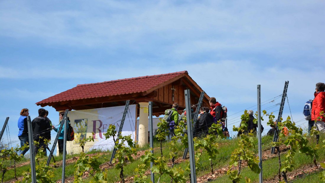 Weingut Rehn_Weingut, &copy; Weingut Rehn