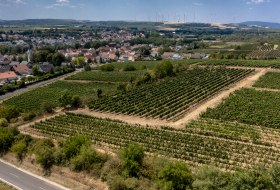 Monsheimer Rosengarten