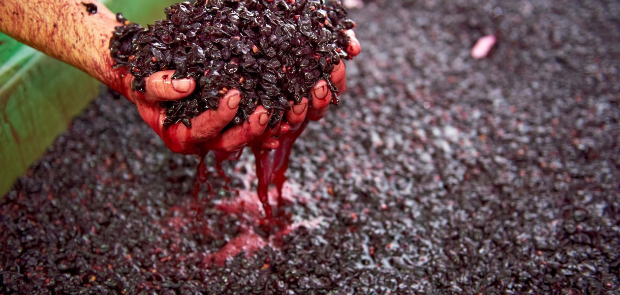 &copy; Weingut Achenbach