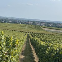 IMG_1232