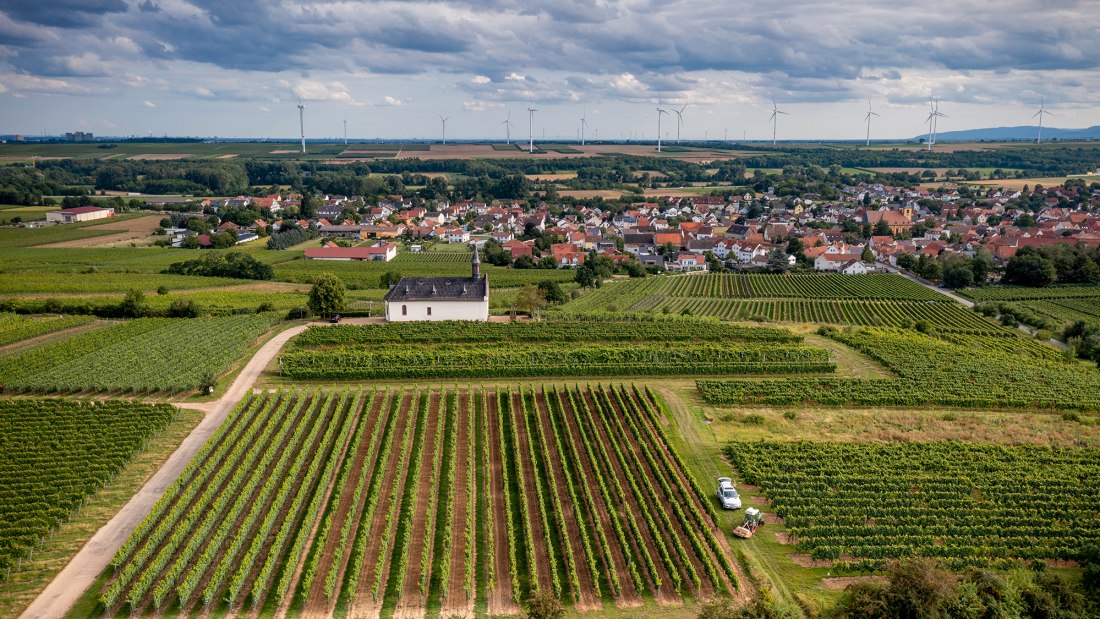 Abenheimer Klausenberg, © Torsten Silz