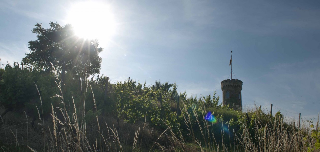 Weingut Heiligenblut_Turm 2, &copy; Weingut Heiligenblut