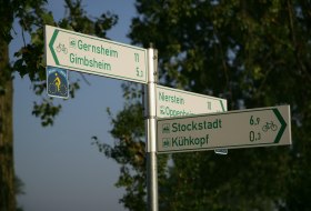 Radwegweisung &copy; Marcus Gloger | Rheinhessen-Touristik GmbH