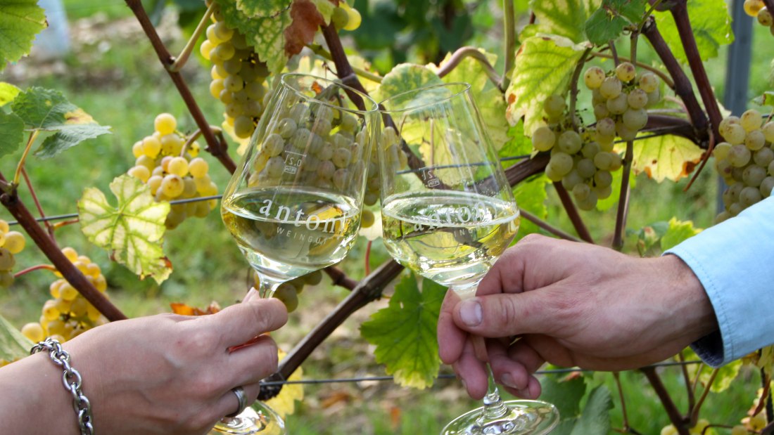 &copy; Weingut Antony