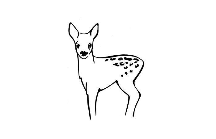 Weingut Kitzer_Logo Bild, &copy; Weingut Kitzer