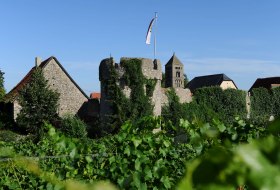 Fleckenmauer in Fl&ouml;rsheim-Dalsheim (C) Carsten Costard