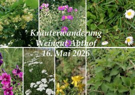 Kr&auml;uterwanderung Abthof, &copy; Martin Koch