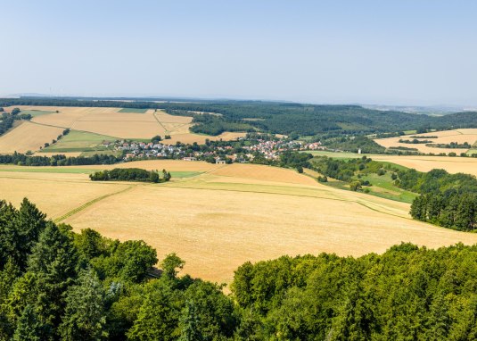 Aussichtspunkt Hiwweltour Vorholz &copy; Rheinhessen Touristik GmbH