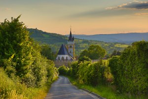 Ingelheimer Auslese, &copy; Rainer Oppenheimer