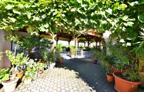 Weinlaube &copy; Weingut Lich