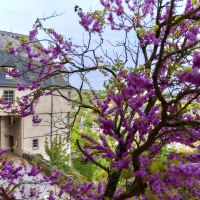 Torturm &copy; Ebernburg Verein e.V.