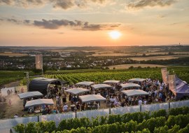 Panorama-Picknick, &copy; Weingut Bischofsm&uuml;hle