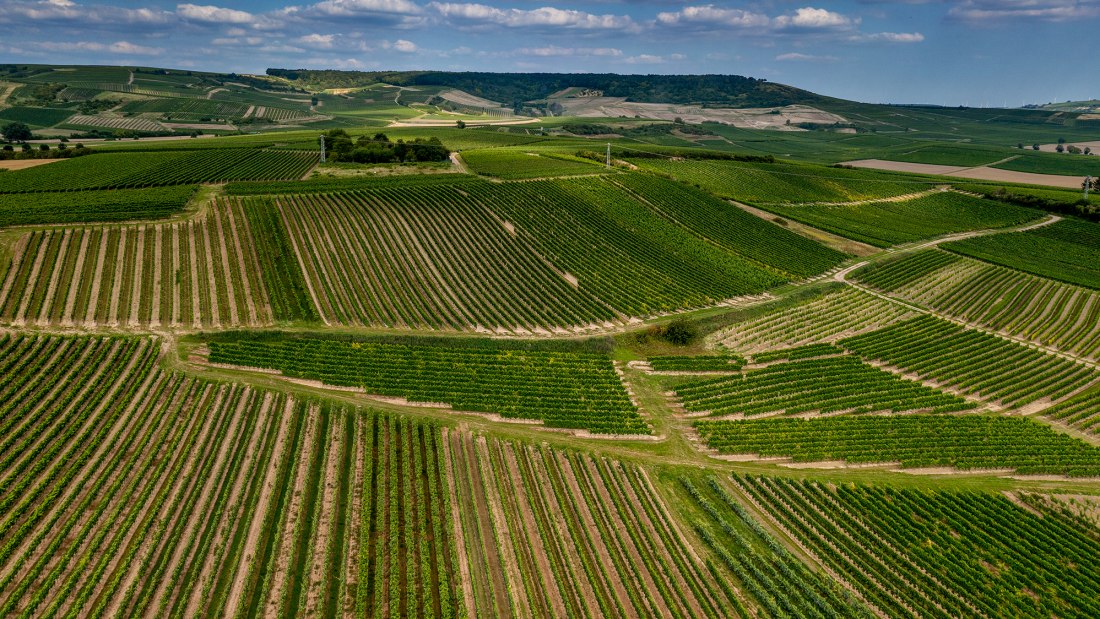 Welgesheimer Kirchgärtchen