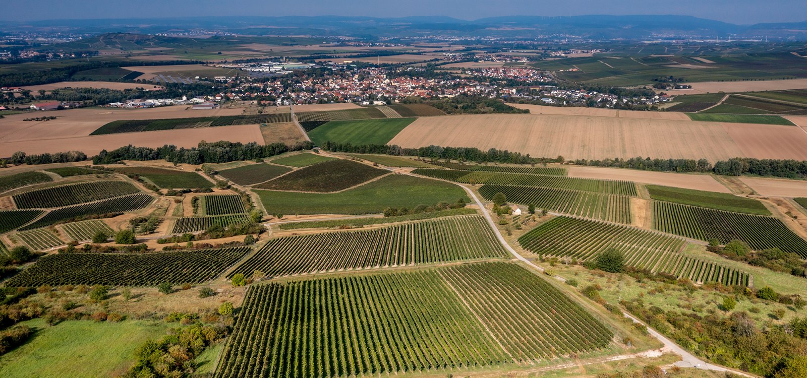 Sprendlinger Wißberg