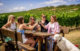 Junge Frauen © Rheinhessenwein e.V.