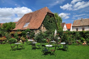 Augenwaide, &copy; VG Monsheim, Fotograf Carsten Costard