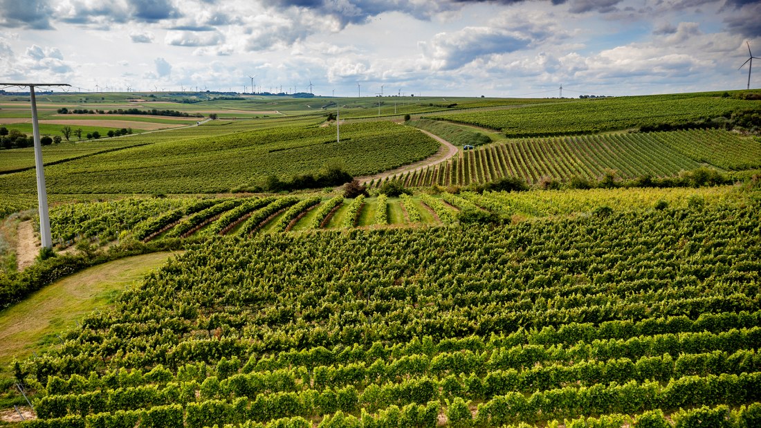 Bechtheimer Hasensprung