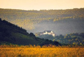 Die Ebernburg im Herbst &copy; R. Jetter - soonteam