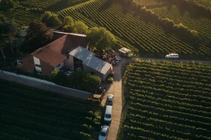 Weingut Uhinck Steigerhof GbR, &copy; Weingut Uhinck Steigerhof GbR, Foto Sebastian Greiner